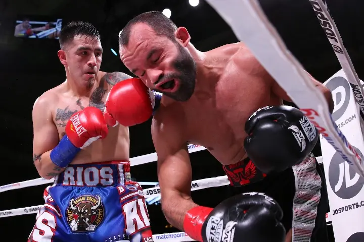 Rios Alvarez Fight