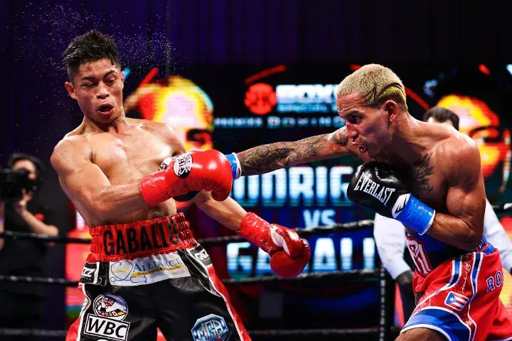 Rodriguez Gaballo Fight