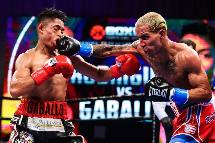 Rodriguez Gaballo Fight