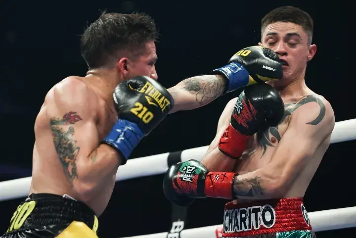 Rodriguez Gonzalez Fight