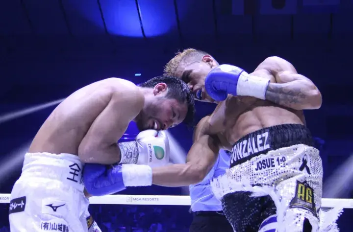 Rosales Higa Fight
