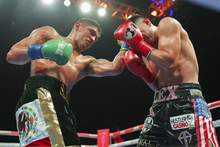 Santillan Rocha Fight