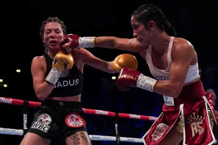 Serrano Mahfoud Fight