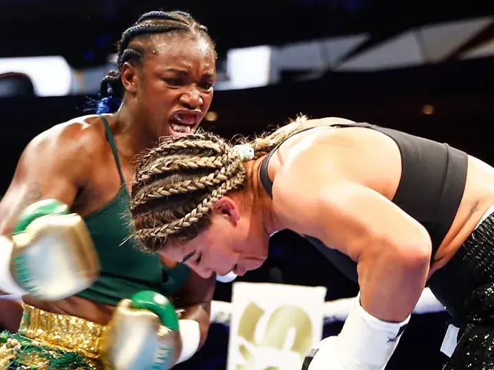 Shields Cornejo Fight