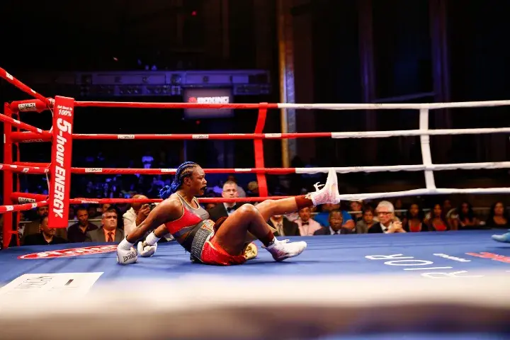 Shields Gabriels Fight