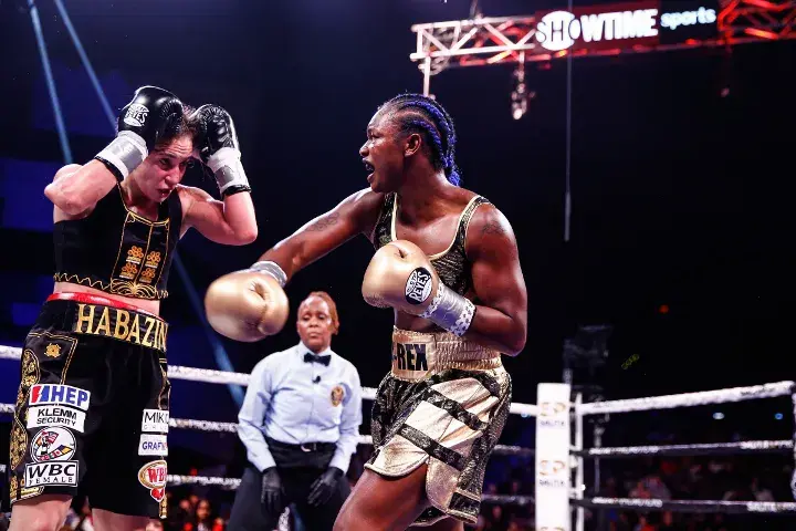 Shields Habazin Fight