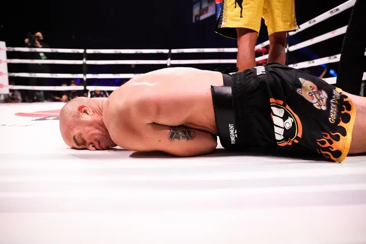 Silva Ortiz Fight