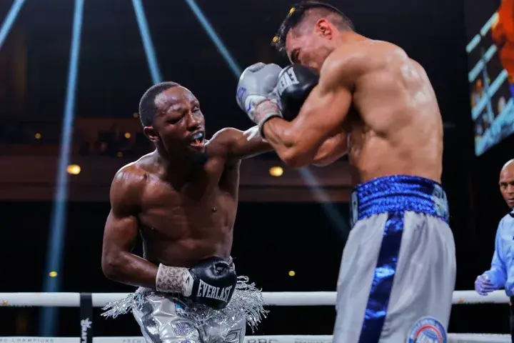 Sims Akhmedov Fight