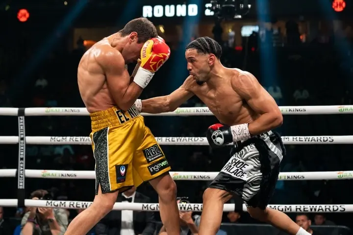 Tellez Garcia Fight