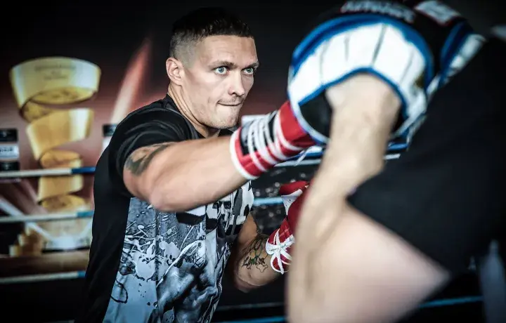Usyk Briedis