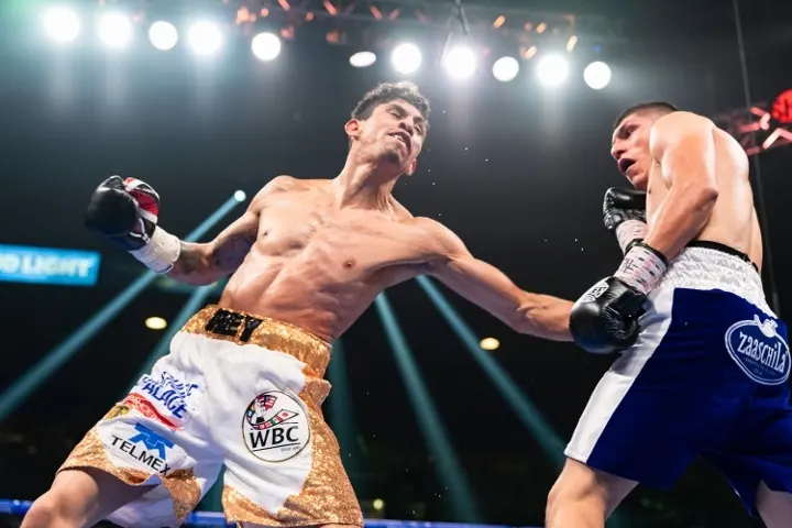 Vargas Baez Fight Hafey