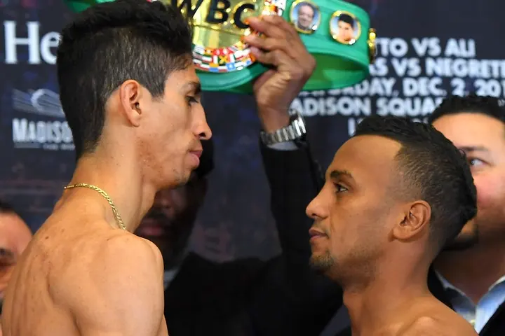 Vargas Negrete Weights