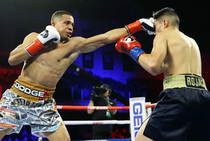 Verdejo Rojas Fight