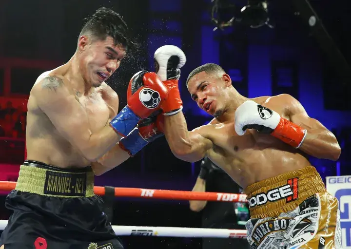 Verdejo Rojas Fight