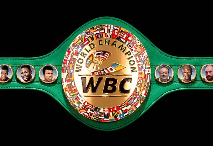 Wbc Belt Mayweather