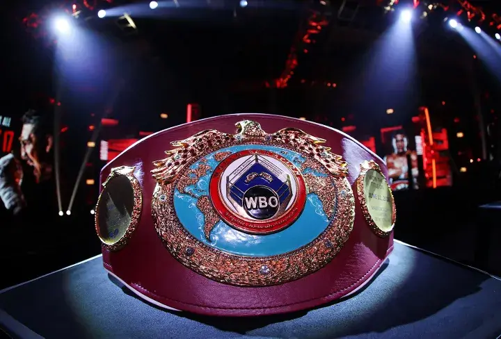 Wbo Belt