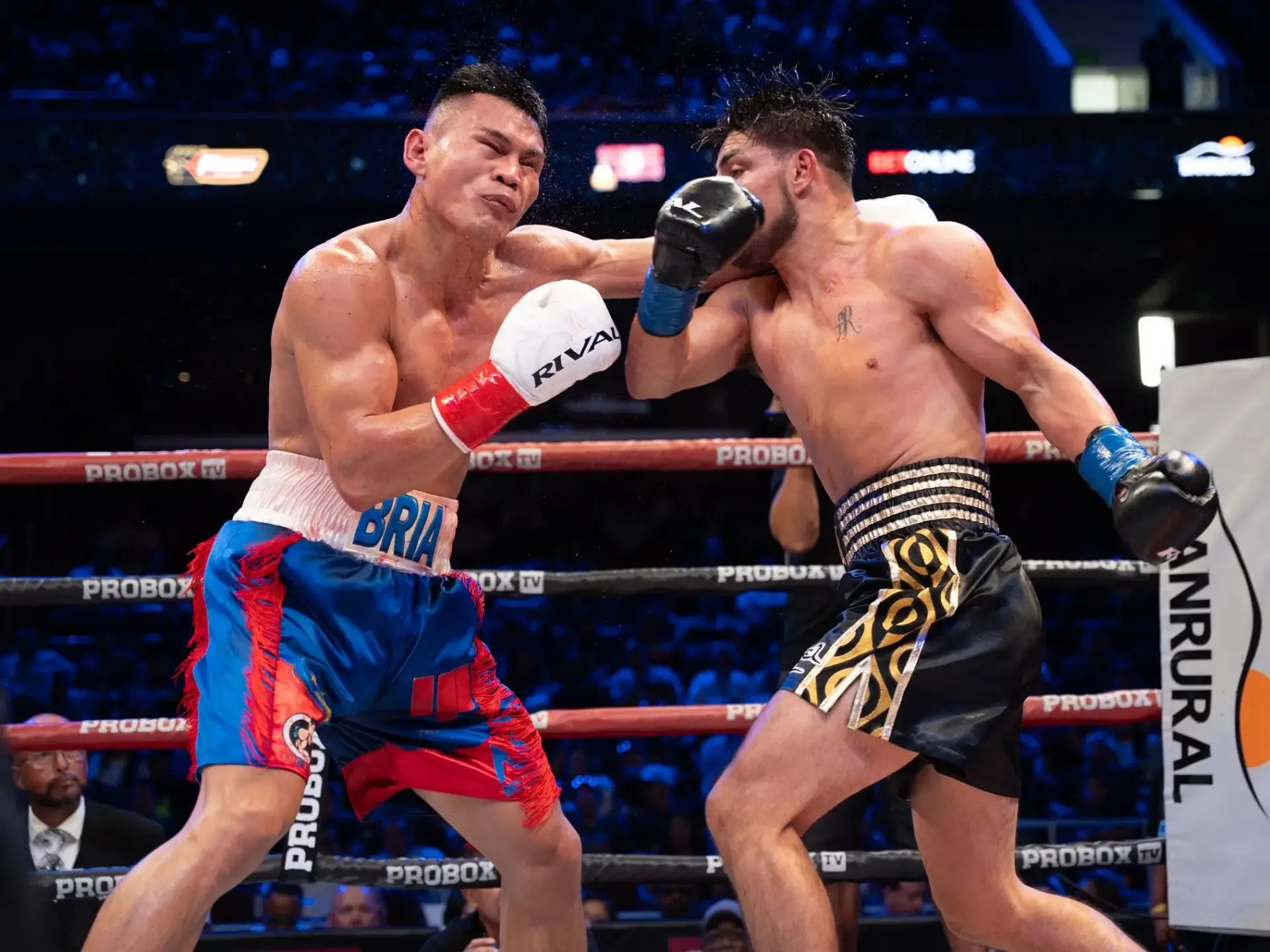 Weljon Mindoro-Carlos Ocampo fight