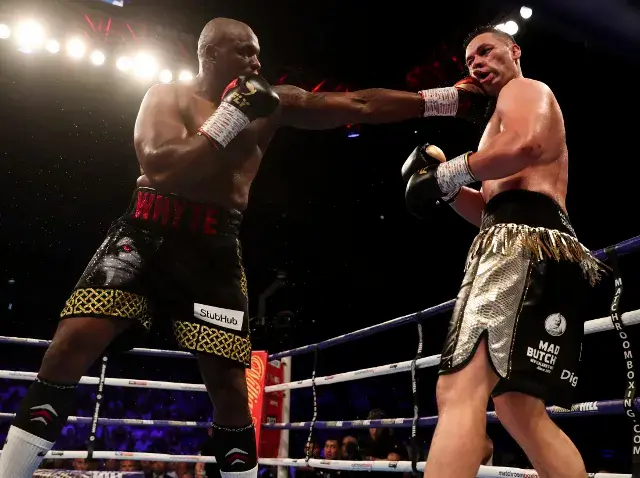Whyte Parker Fight