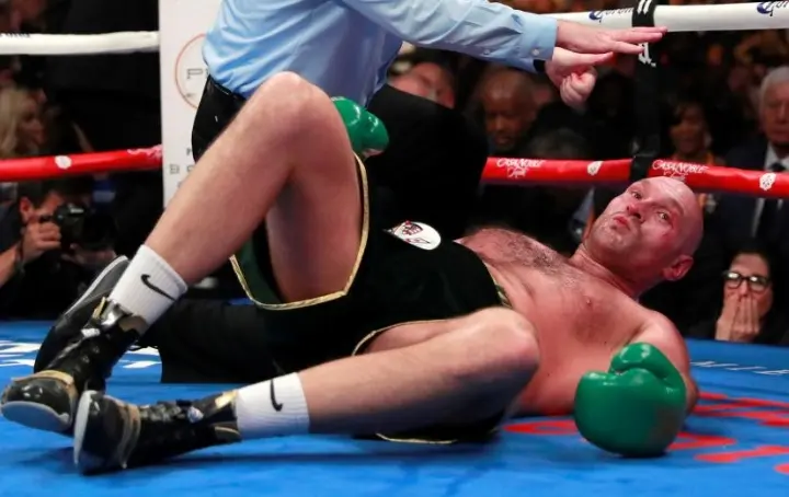 Wilder Fury Fight