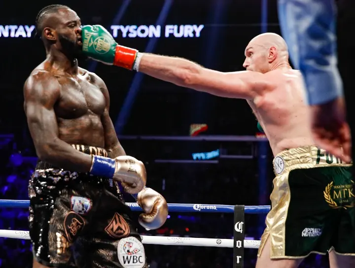 Wilder Fury Fight