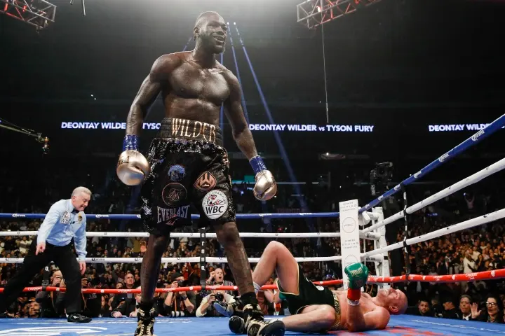 Wilder Fury Fight
