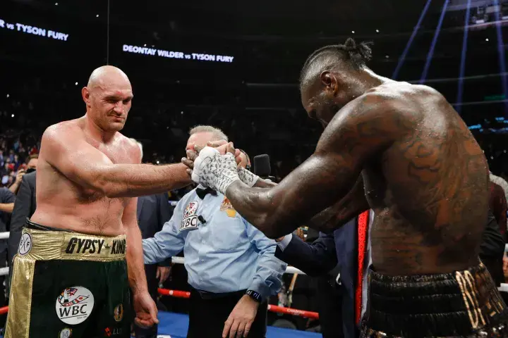 Wilder Fury Fight