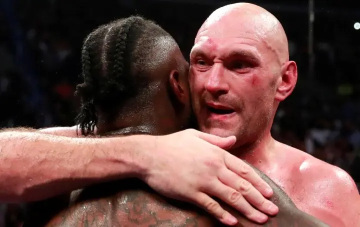 Wilder Fury Fight