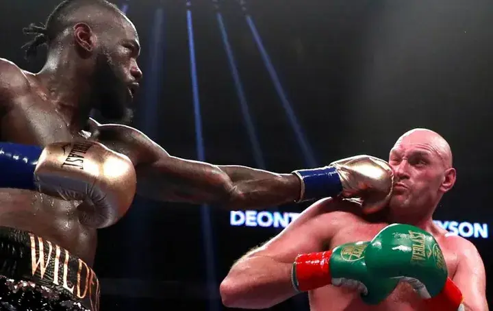 Wilder Fury Fight