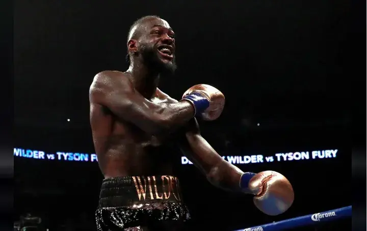 Wilder Fury Fight