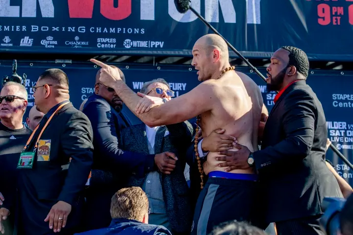 Wilder Fury Weights