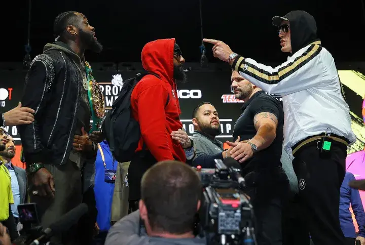 Wilder Fury