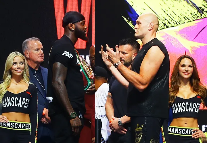 Wilder Fury