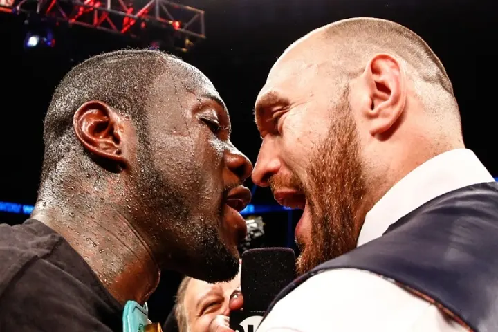 Wilder Fury