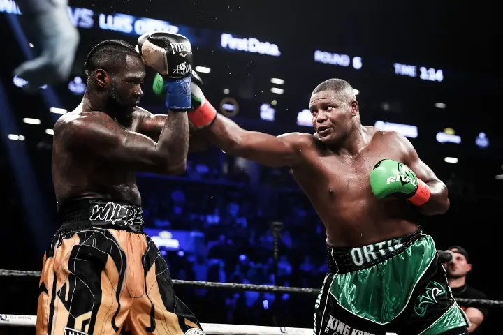 Wilder Ortiz Fight