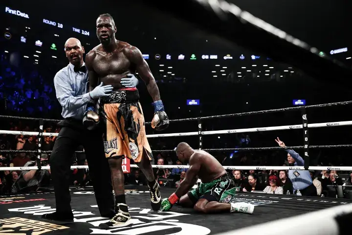 Wilder Ortiz Fight