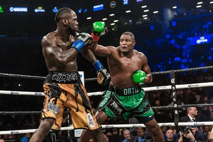 Wilder Ortiz Fight