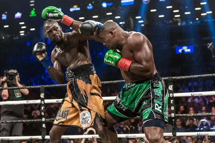Wilder Ortiz Fight