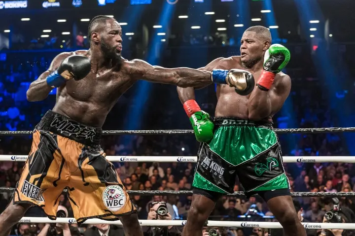 Wilder Ortiz Fight