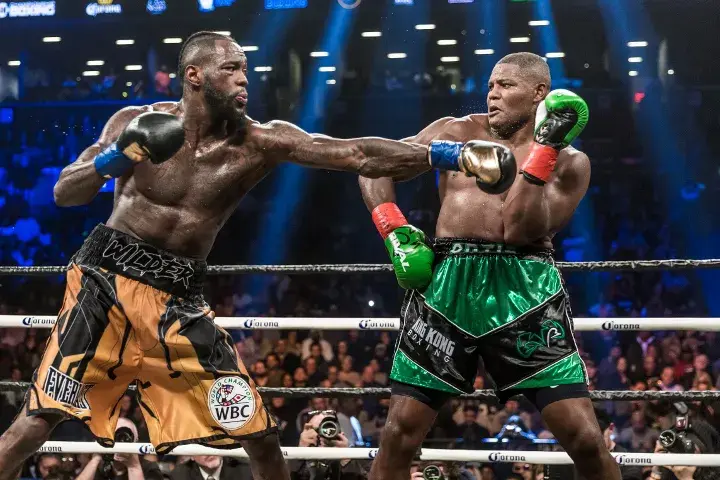 Wilder Ortiz Fight