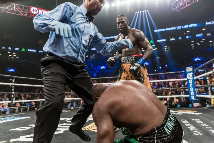 Wilder Ortiz Fight
