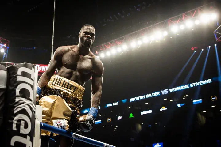 Wilder Stiverne Rematch