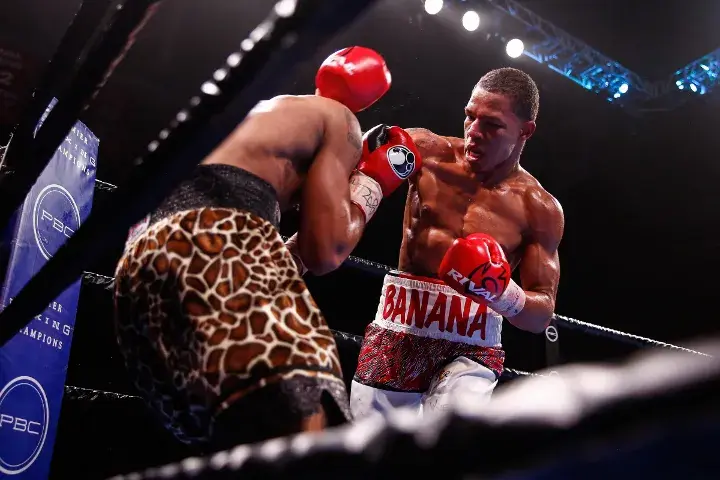 Williams Rosario Fight