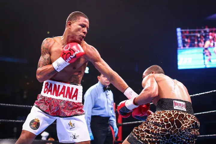 Williams Rosario Fight