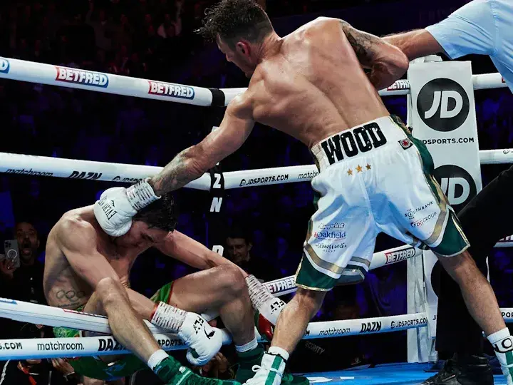 Wood Conlan Fight
