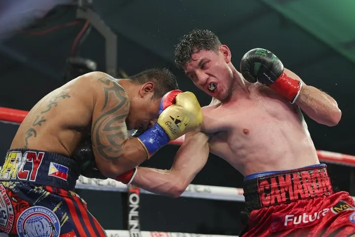 Zepeda Gesta Fight