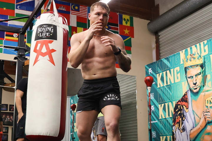 canelo-alvarez (20)_1648785194