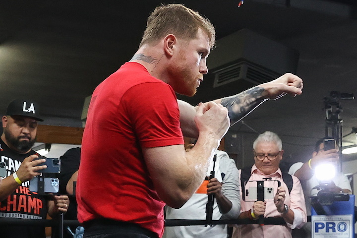 canelo-alvarez (25)_1661822911