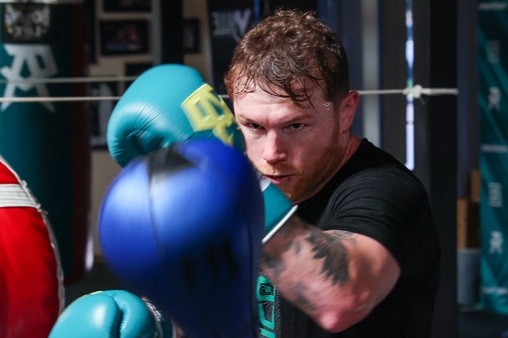 canelo-alvarez (35)_1660288499