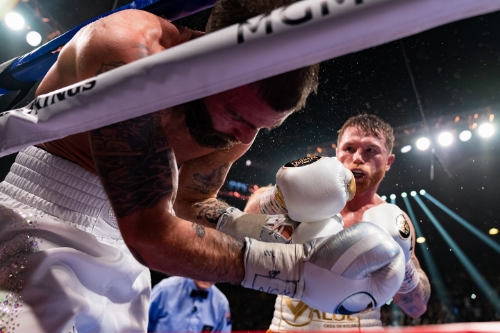 canelo-plant-fight (11)