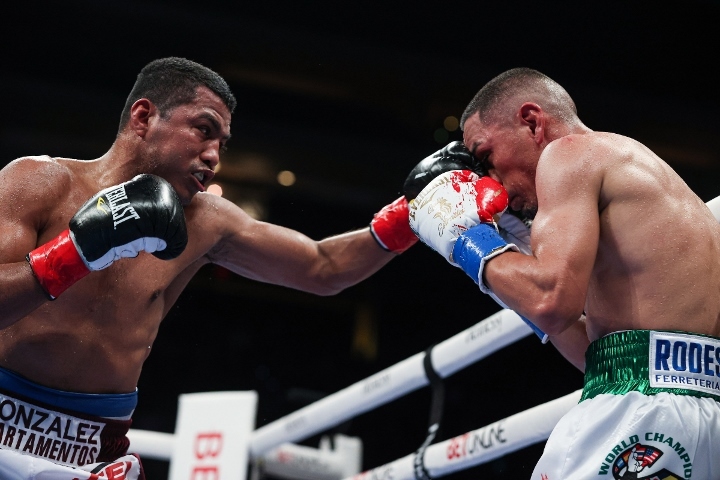 estrada-chocolatito-trilogy (1)